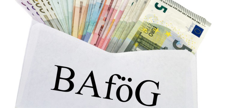 Advantages of BAföG Organization